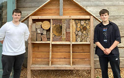 „sozialgenial“ – Bau eines Insektenhotels